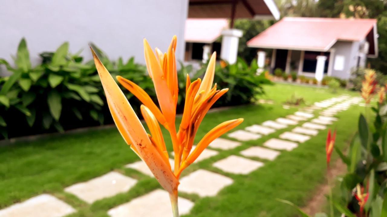 Arcadia Resort Alibaug Alībāg Buitenkant foto